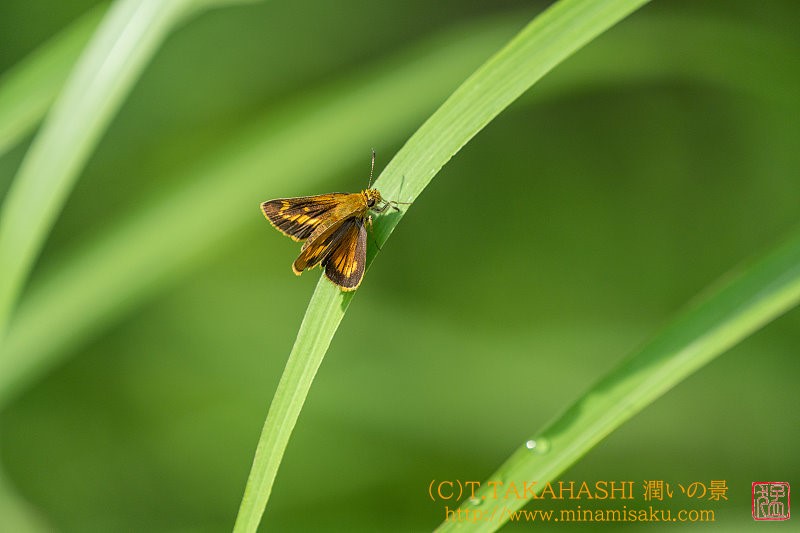 ../Images/7R240713 (192).jpg